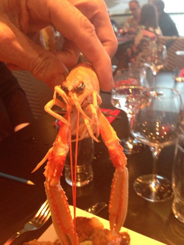 Don't know who going eat who