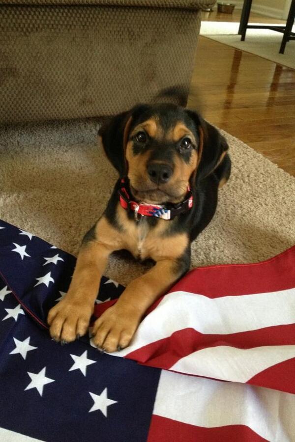 G_Etzel04's tweet photo. Happy 4th!! http://t.co/DARzxVvOw8