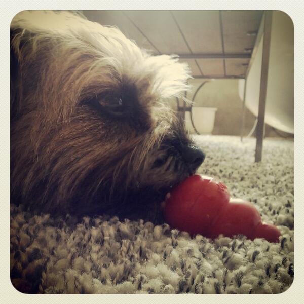 pepper_gram's tweet photo. Holidays are fantastic! http://t.co/EWzulqXx6q