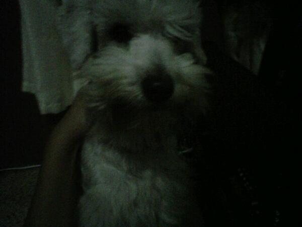 emecarranza's tweet photo. My ody♥ http://t.co/NYpfILJUUD