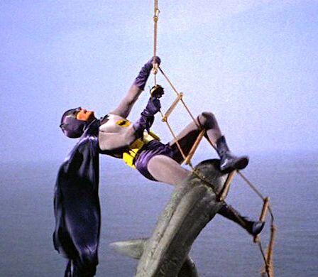 ImperialGuard65's tweet photo. Stop right there! #DIDSOMEONESAY http://t.co/pa4bFd8Xhp