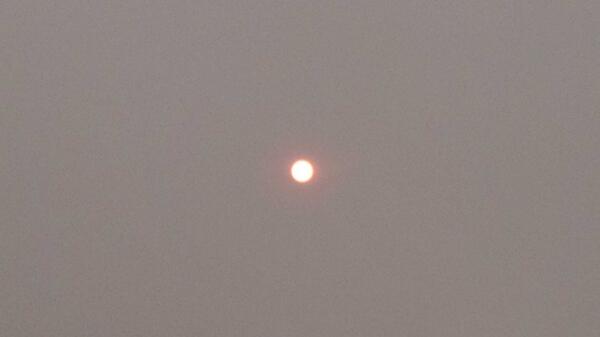 BMcLeanSports's tweet image. @jayfor1 #CountFloyd