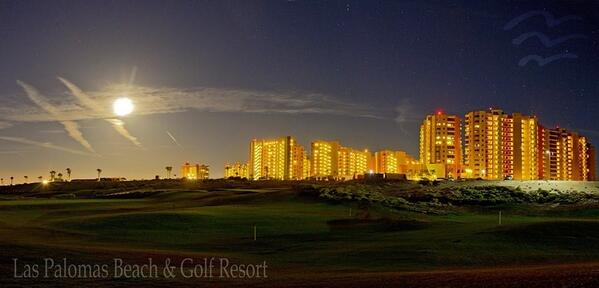 Héctor Vazquez del M tweet media