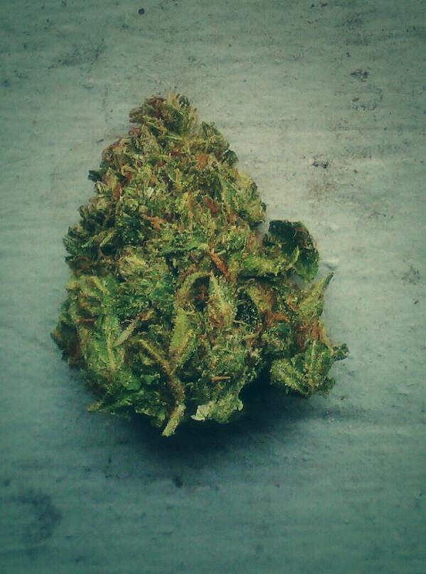 ikeep1rolledd_'s tweet photo. Aunt Bam http://t.co/a9zGy9R9kK