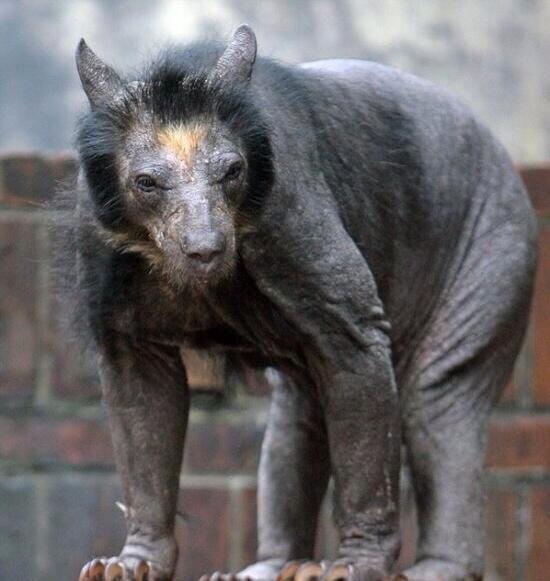 Ryan | Nomados tweet media