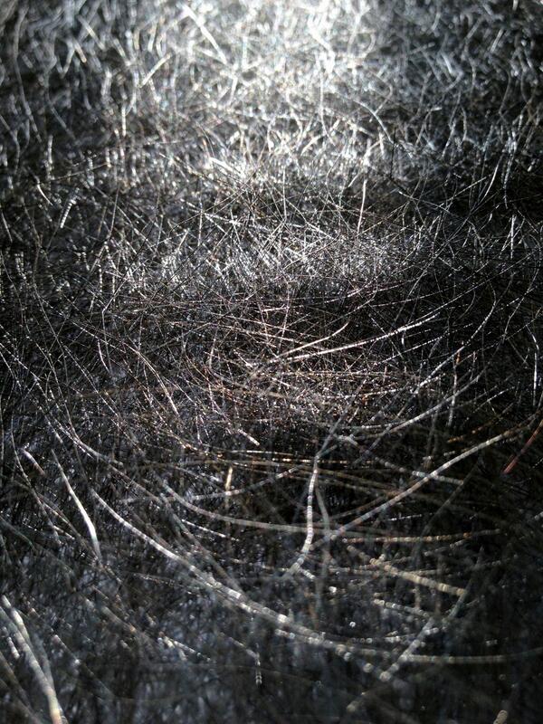 Microtexltd's tweet photo. Ever wondered what our fuel saving Steel alloy fibres look like? Take a peek! http://t.co/Uuz71b0a7Y