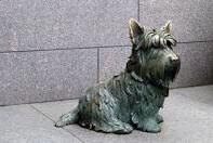 JongShin23's tweet photo. @GTCareersUS 6. Bronze dog. Gorgeous. #gtinterns #teamdonth8 http://t.co/Txo1m3T8K4