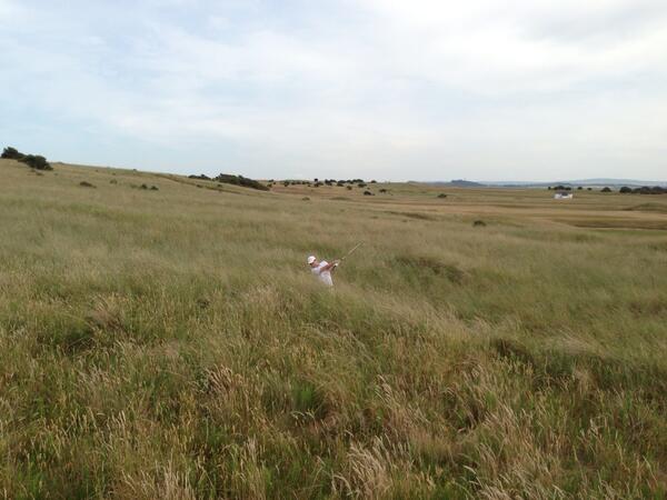 Johnson Wagner tweet media