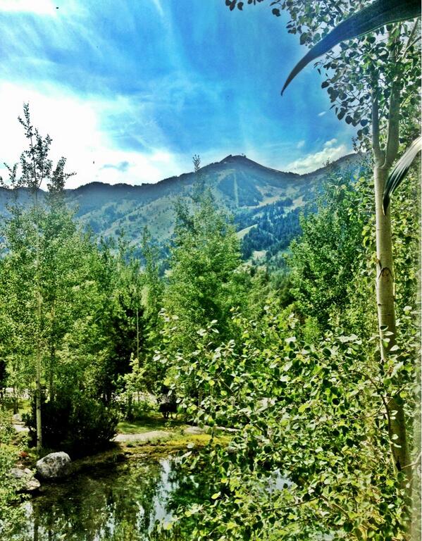 RealtyJacksonWY's tweet photo. @WSJ bidding for this view starts at a cool $32 mil more from the base of @jhski in 30 mins and counting http://t.co/DOk09XZpY6