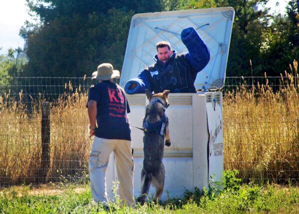K9 Faro found the hidden prize!
