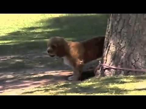 EbooksEuCom's tweet image. Need Some Help With ... - #CellPhone #PimplesProblems #SalicylicAcid #ZitsProblems - ebooks.eu.com/need-some-help…