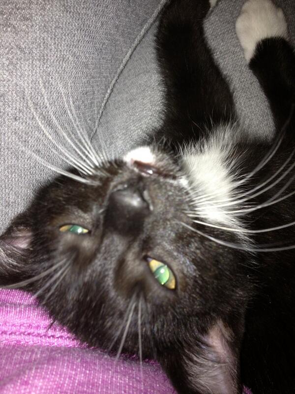 mrsnighttrain's tweet photo. Ok that's enough I'm tired now .... http://t.co/HLiCzJ55jM