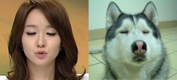 granzon's tweet photo. @yourssun 놀리는건 아니구유 인터넷에 있어서유 웃으세유 :D http://t.co/CXYLBspyf4