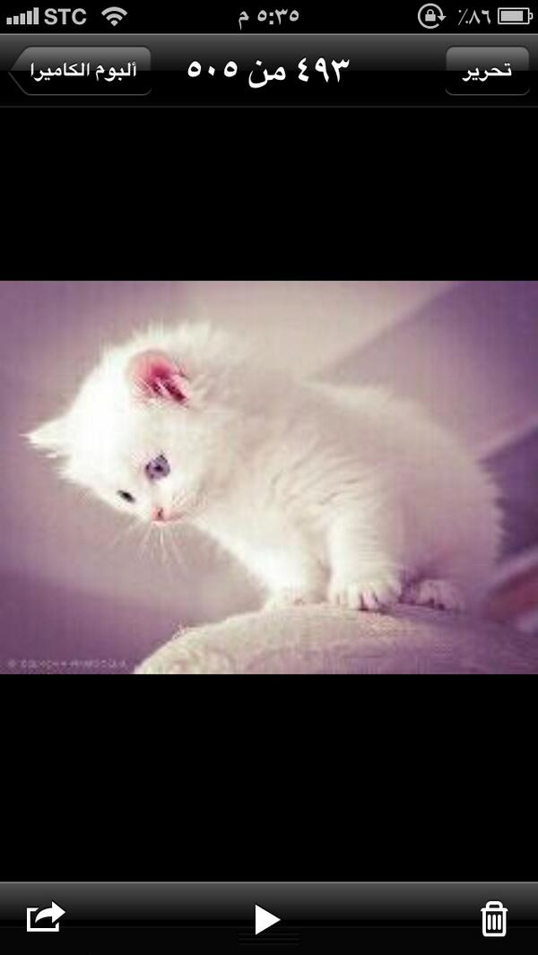 looly00921's tweet photo. http://t.co/MeGfG0j2SD