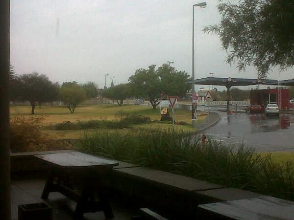 kylodendaal's tweet photo. RIP old tree at med fac. Always welcomed us with open branches.@Joshy_vdM @sonaburger_  @RossConnor10 @mobhamjee http://t.co/sA49g6H4NJ