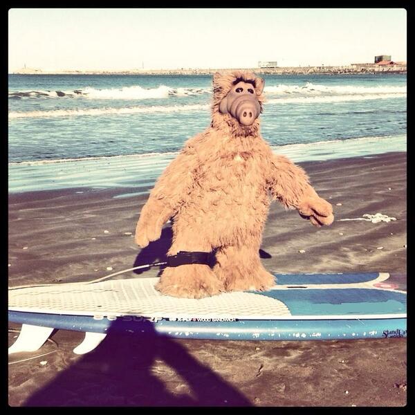cofacho's tweet photo. Hey sally #alf is surfing in #argentina  http://t.co/xTmmkJtd5w @Sally_Fitz  @alfenba http://t.co/FP6EEhGV6o
