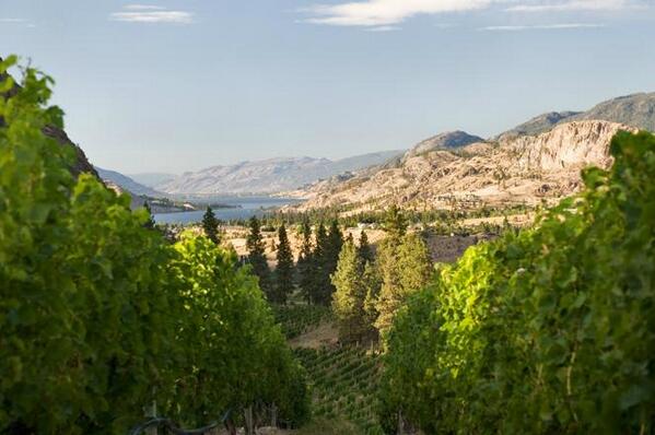 SYLRanchWinery's tweet image. Happy Friday!  How will you celebrate this #beatifulbc weekend? #okanagan #winery #summer