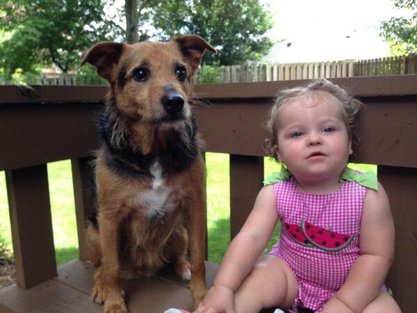 Dr_StarrMoss's tweet photo. Buddies http://t.co/t6GQNFLPTC
