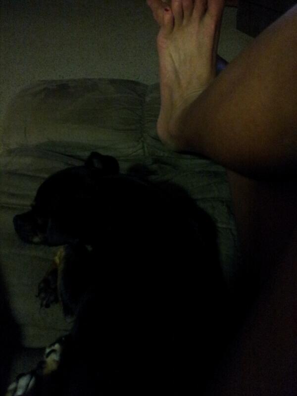 gilligangirl's tweet photo. Josie being LAZY!!!!!! Lucky dog!! http://t.co/JI5gBBt7Zf