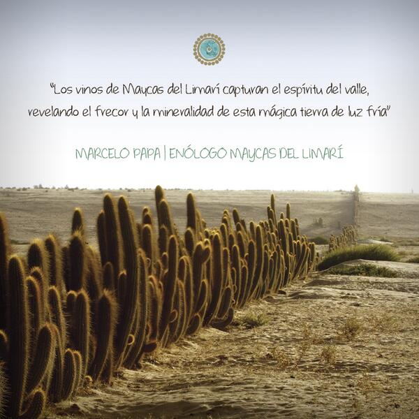 Nuestros vinos capturan el espíritu del valle, revelan el frescor y la mineralidad de esta mágica tierra de luz fría