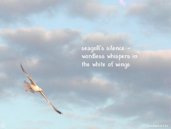 haikuverse's tweet photo. ©   

seagull's silence - 
wordless whispers in  
the white of wings   

http://t.co/YL6mTCaQsN   

#haiga #haiku