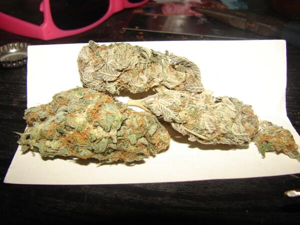 FortWorthWeed's tweet photo. AK-48 #loud http://t.co/XjF0A9Zshc