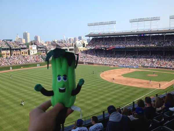 Goldengrl12's tweet photo. @BuffaloBisons @BisonsCelery rooting on the Cubs at Wrigley! http://t.co/PnxiqP7o6u