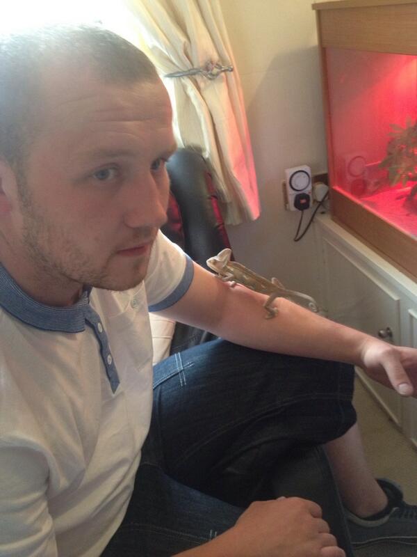 fated87's tweet photo. @pablo_zabaleta @fated87 RT for the chameleon Pablo named after you do do dooo Pablo Zabaleta http://t.co/fZ2N1Cl3 http://t.co/8RUy8RVk7r
