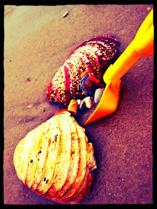 mk_druhan's tweet photo. Dauphin Island💜💙 http://t.co/Zl6xMtDpMd