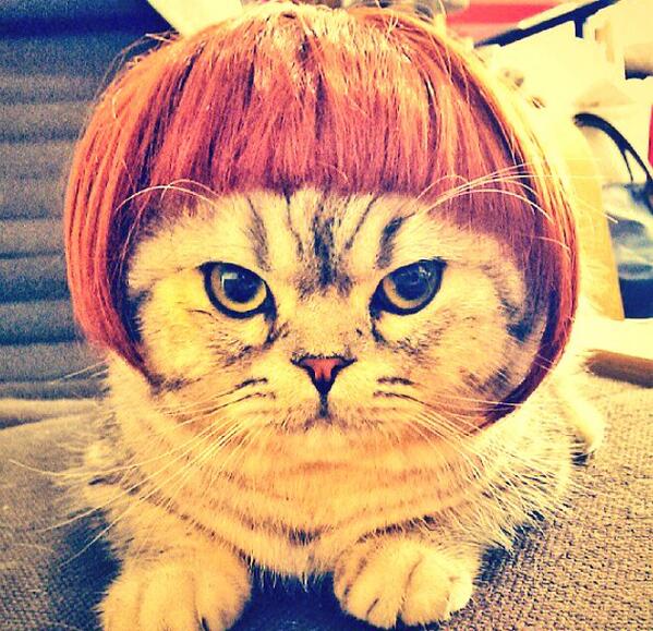 KeniaKun's tweet photo. @pattyalvear @ximespinosav .. loca no saben como igualarte.. t quieren copiar el look d la cleo como sea jajaja bella http://t.co/8NnpcObJ7D