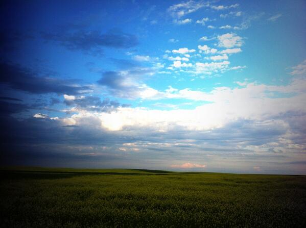 shieldsinterior's tweet image. Southern Alberta before the storm