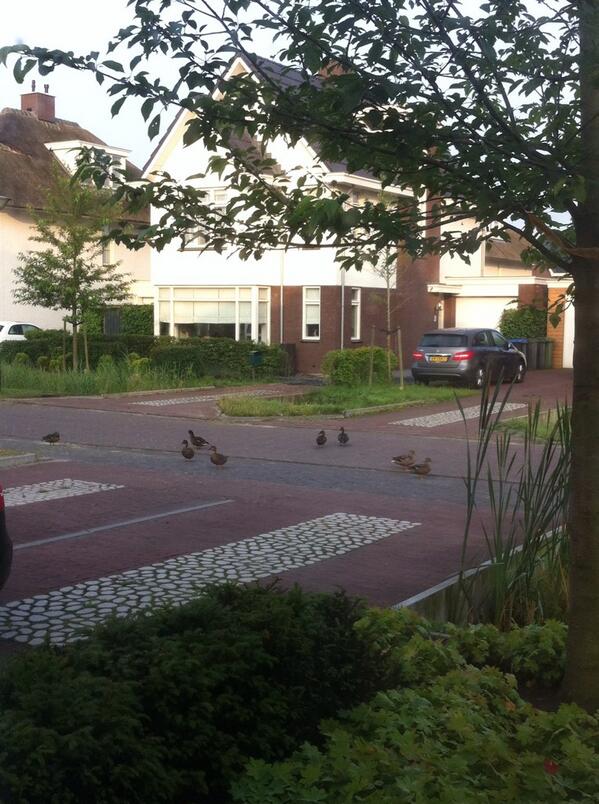 De visite is vroeg vandaag! #gezellig