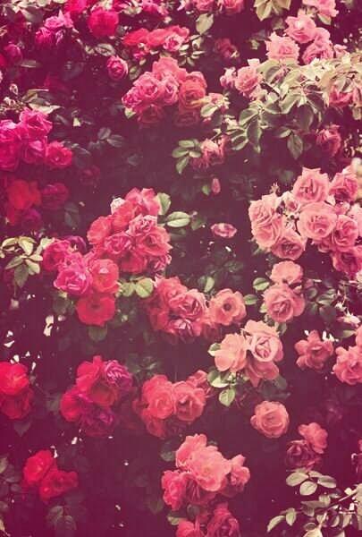 Nicole✞ (@queenofcrazy_) on Twitter photo 