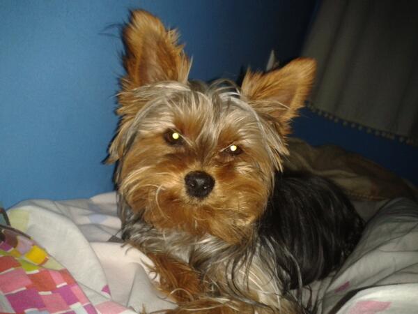 Yo tampoco duermo sola <a href="/cbrodriguez2912/">Cristina Beltran</a> <a href="/segura_escobar/">Lidia </a>