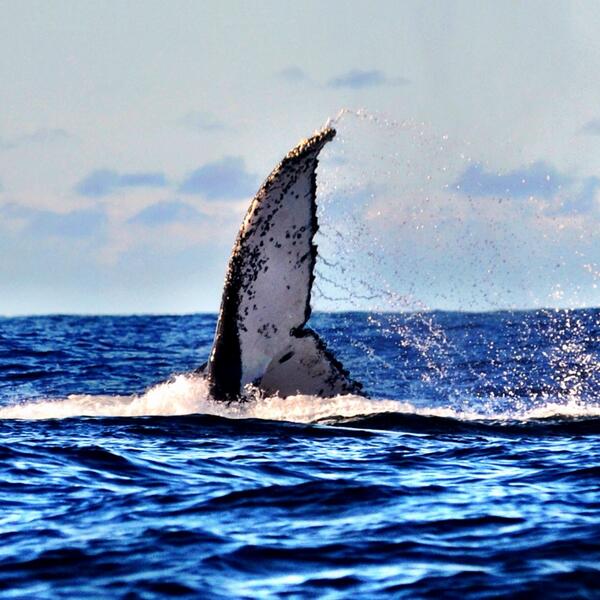 Woah. Great pic from our Monday tour