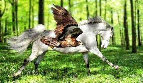 ZoelfahD's tweet photo. Keren1 http://t.co/vb6r1afOdj