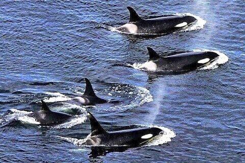 ZoelfahD's tweet photo. Keren2 http://t.co/lL7OcQ0pML
