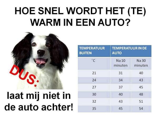 Let op! Laat geen dieren achter in de auto. Met deze temperaturen wordt het daar binnen snel heet! #RT