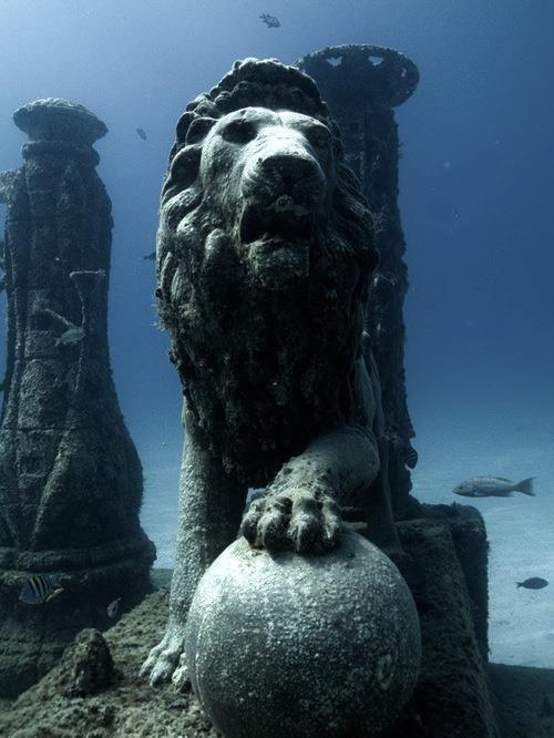 rybotics's tweet photo. Cleopatra's underwater palace, Egypt. http://t.co/TwZkXx74dS
