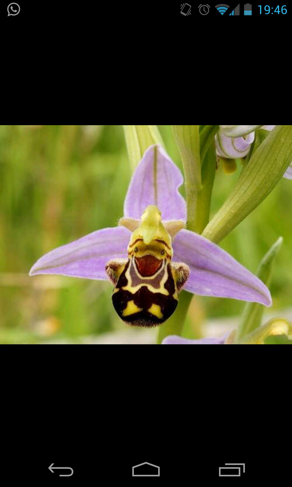 happeeobjects tweet picture