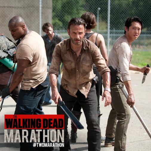 WalkingDead_AMC's tweet photo. #TWDmarathon Seed http://t.co/xpkwbswsm4