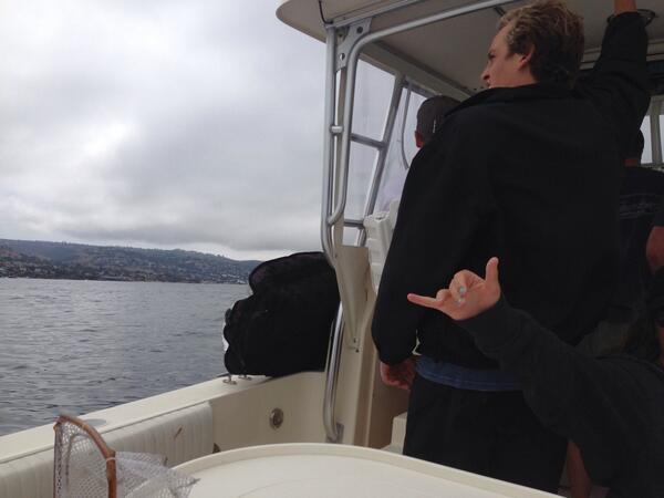 Cruising to find some waves! #highspeedpatroling