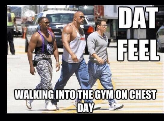 bballjacob15's tweet photo. "@CauseWereGuys: Chest Day http://t.co/UrYvvt3QoF"@bivy92