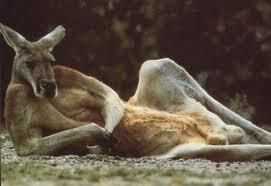 yustedesta's tweet photo. Tu madre te dice que pongas la mesa y usted está... http://t.co/AnQ7j0vb8K