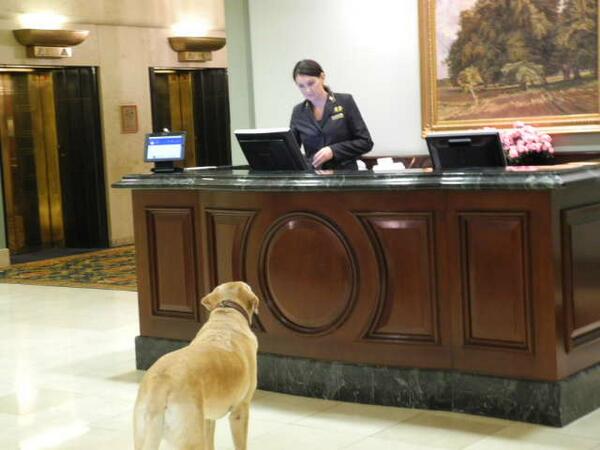 ubcken's tweet image. Patiently waiting to check in @FairmontHotels #vancouver for #CSBA2013