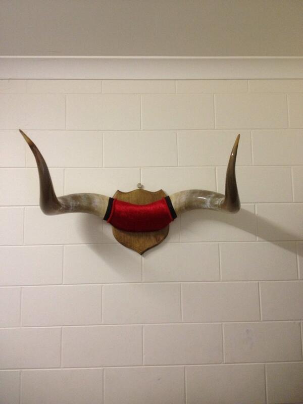 OatsSteve's tweet photo. @Innescoach Ready for the product display wall! #looktogood #sohorny http://t.co/HHoQ77jjje