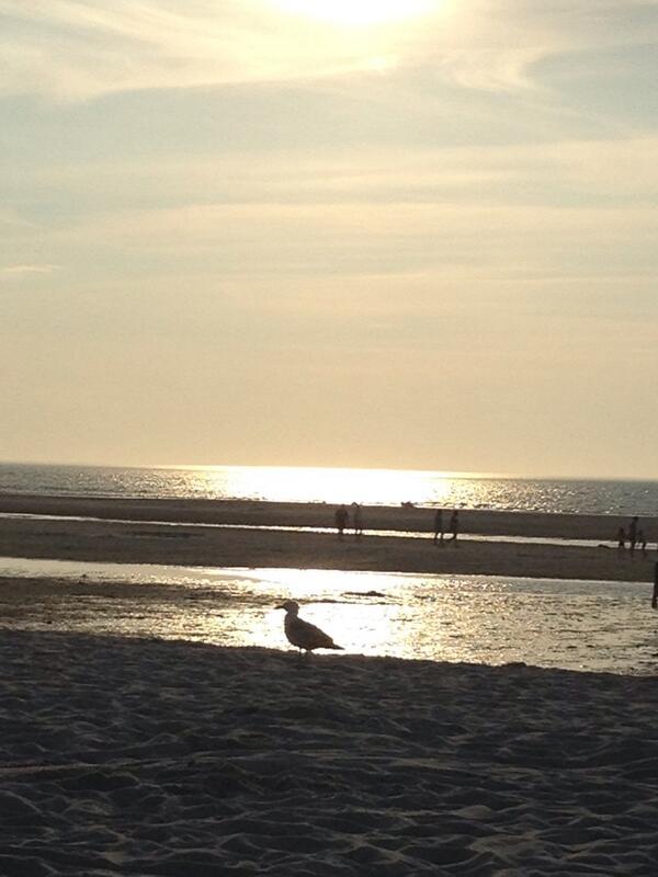 Sunset Mayflower Beach