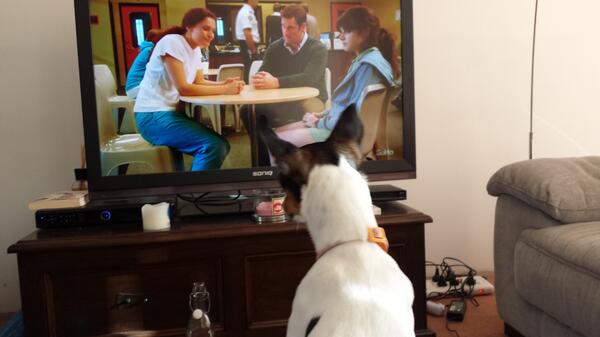 hubdog85's tweet photo. Missy is loving the #Wentworth  marathon on soho @nicdasilva @daniellecormack http://t.co/9Jqh1YnULJ