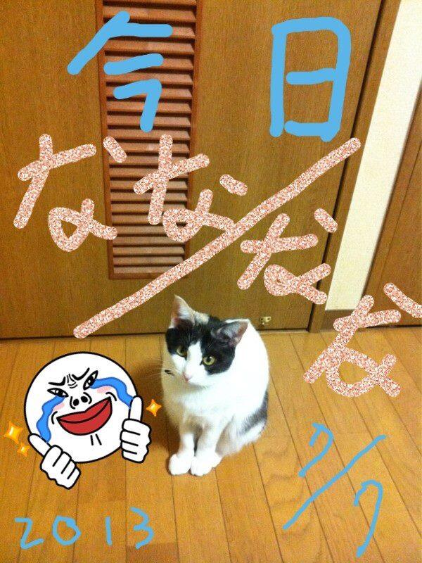 rubylu1102's tweet image. 今天是なな節！！