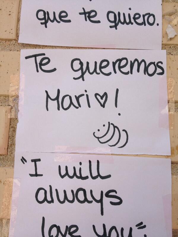 mar castilla navas tweet media